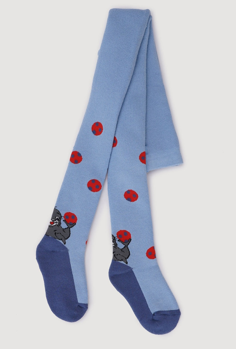 Махровые голготки Джулия